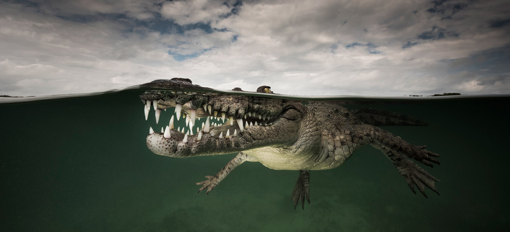 over under photography