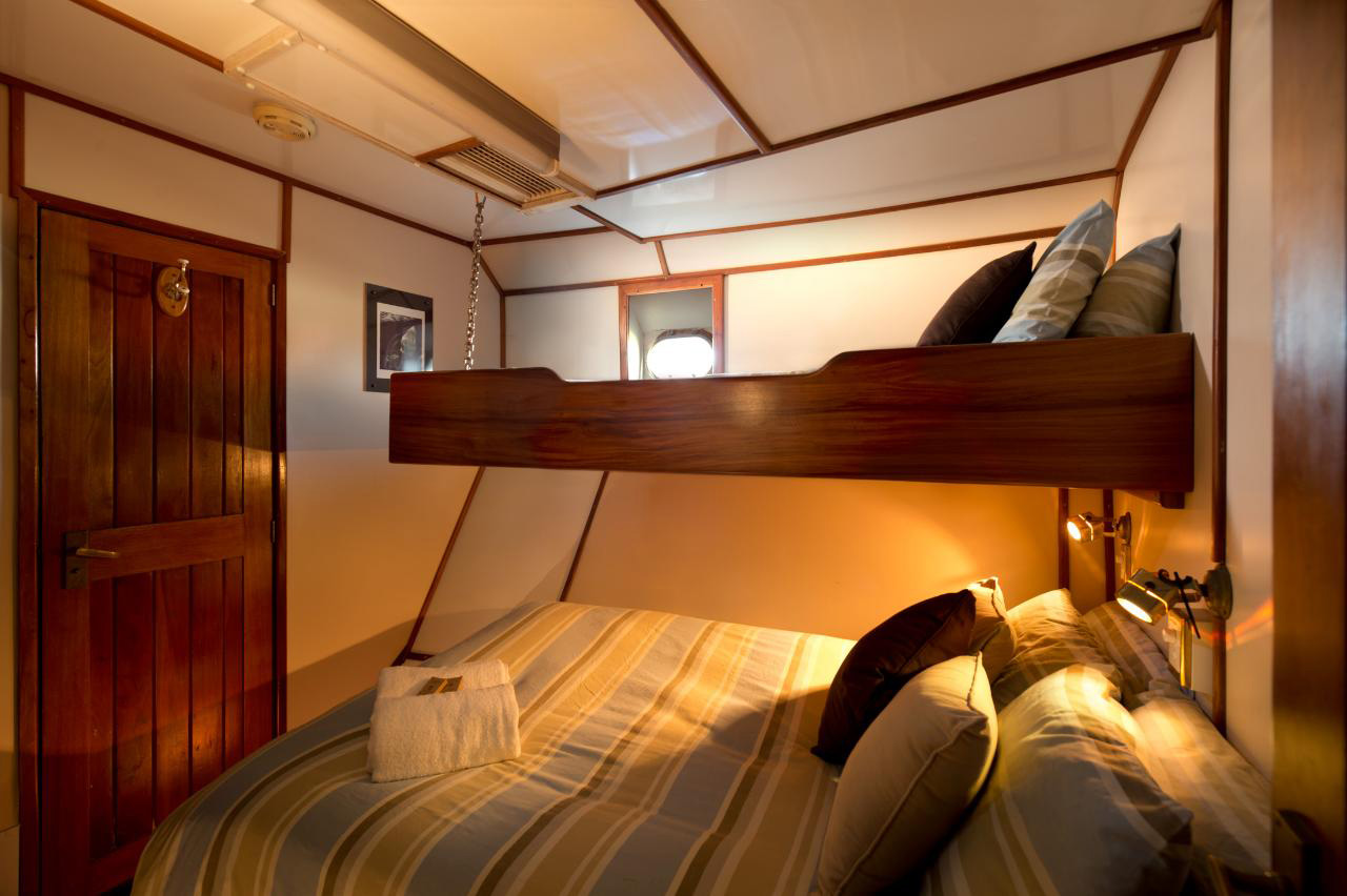 Great White Shark Safari